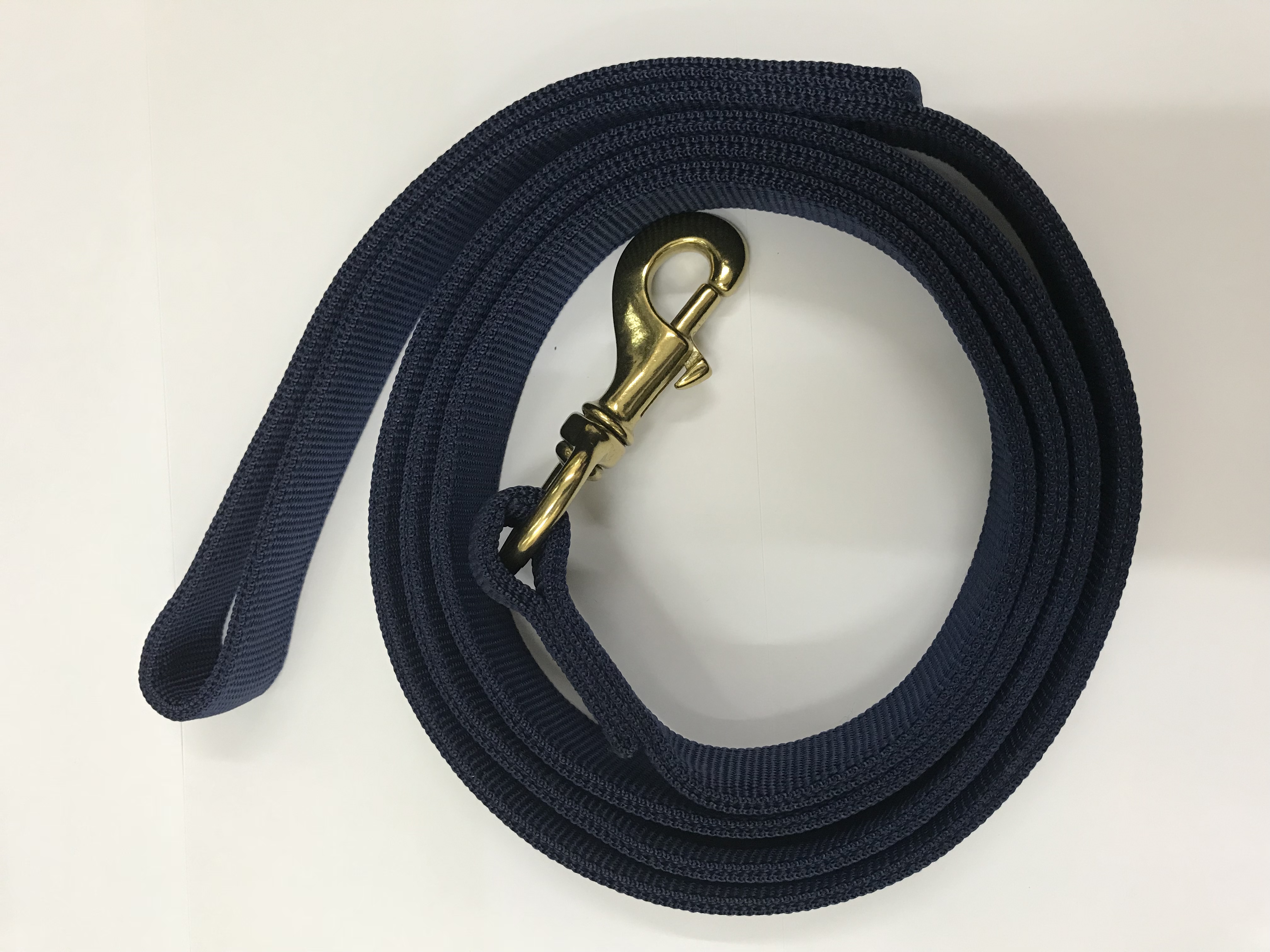 Dog Training Nylon Leash 25mm x 6 Feet  2-Layers (Flat) Large Breed Blue