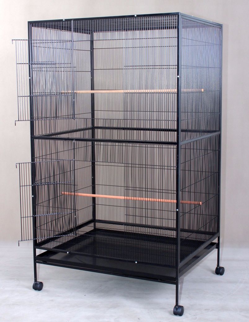 bird cage online