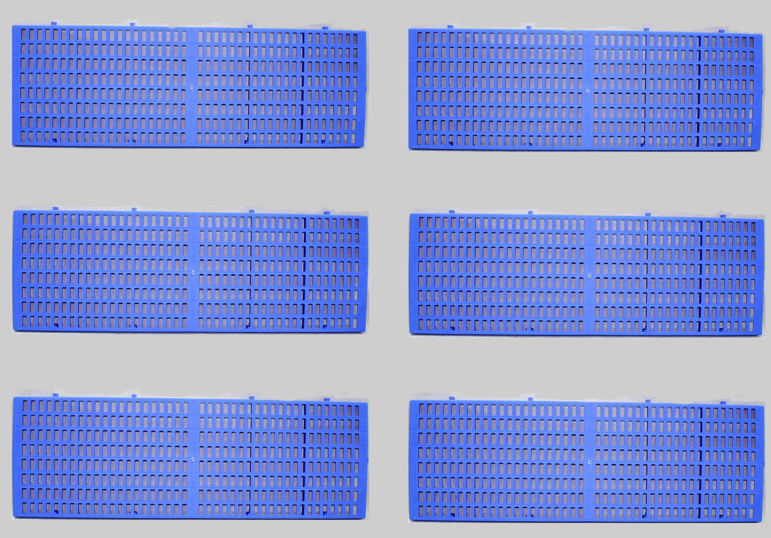 6pcs Plastic Kennel Board 3 feet x 1 Feet Blue