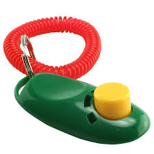 iClick Training Clicker Device Green